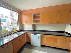 Jalan Aruan (D9), Condominium #495630071